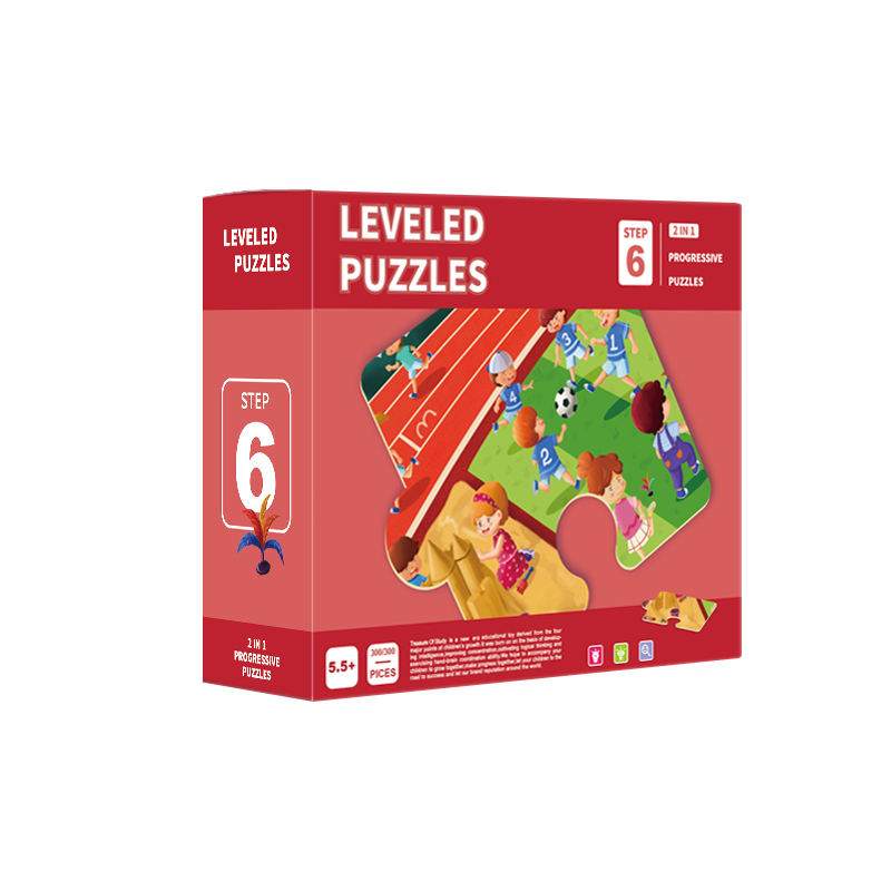 Children's Educational Toys Sixth Level Puzzle
