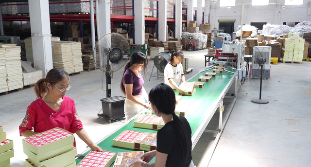 3d puzzle manufacturers